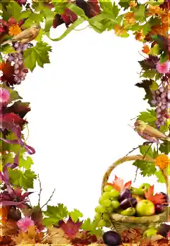 カテゴリのフォトエフェクト いろいろ № 81650