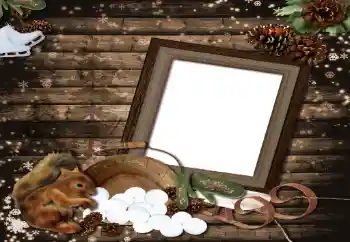 カテゴリのフォトエフェクト いろいろ № 8587