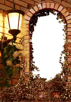 カテゴリのフォトエフェクト いろいろ № 8595