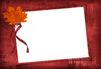 カテゴリのフォトエフェクト いろいろ № 86582 カテゴリのフォトエフェクト いろいろ № 86582