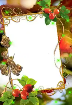 カテゴリのフォトエフェクト いろいろ № 8676