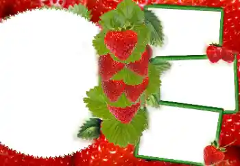 カテゴリのフォトエフェクト いろいろ № 8738