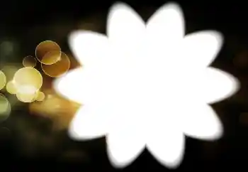 カテゴリのフォトエフェクト いろいろ № 88034