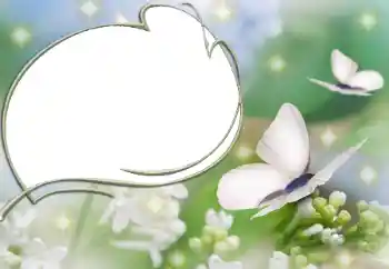 カテゴリのフォトエフェクト いろいろ № 90527 カテゴリのフォトエフェクト いろいろ № 90527