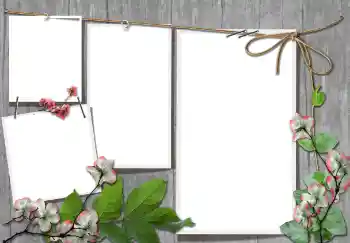 カテゴリのフォトエフェクト いろいろ № 91740