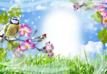 カテゴリのフォトエフェクト いろいろ № 91774 カテゴリのフォトエフェクト いろいろ № 91774