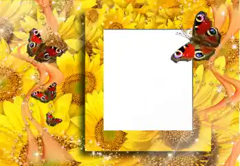 カテゴリのフォトエフェクト いろいろ № 91829