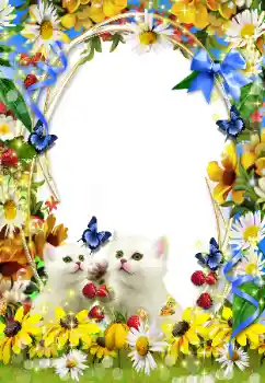 カテゴリのフォトエフェクト いろいろ № 93351 カテゴリのフォトエフェクト いろいろ № 93351