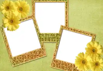 カテゴリのフォトエフェクト いろいろ № 93371 カテゴリのフォトエフェクト いろいろ № 93371