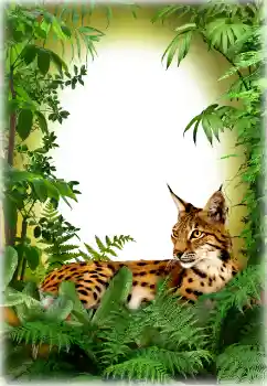 カテゴリのフォトエフェクト いろいろ № 94618