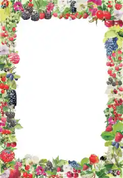 カテゴリのフォトエフェクト いろいろ № 9790