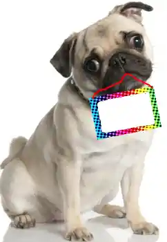 カテゴリのフォトエフェクト いろいろ № 99781