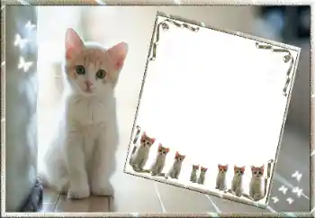 カテゴリのフォトエフェクト いろいろ № 99811