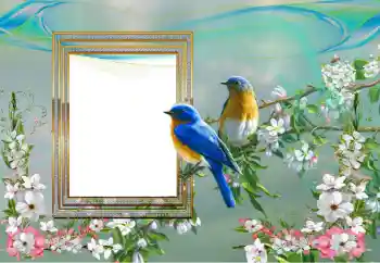 カテゴリのフォトエフェクト いろいろ № 99895