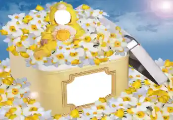 カテゴリのフォトエフェクト 子供用 № 33984