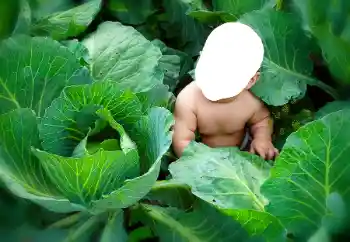 カテゴリのフォトエフェクト 子供用 № 90533