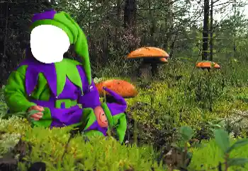 カテゴリのフォトエフェクト 子供用 № 90549