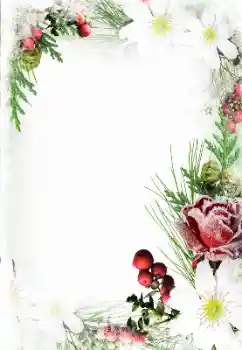 フレーム上の碑文: 3月8日おめでとうございます