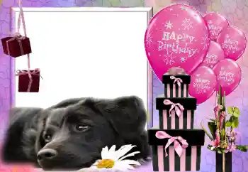 カテゴリのフォトエフェクト 誕生日のカード № 116033. フレーム上の碑文: お誕生日おめでとう! カテゴリのフォトエフェクト 誕生日のカード № 116033. フレーム上の碑文: お誕生日おめでとう!