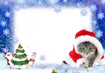 カテゴリのフォトエフェクト 新年の絵葉書 № 17139