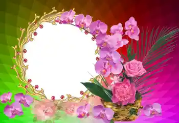 カテゴリのフォトエフェクト いろいろの祭り № 121122 カテゴリのフォトエフェクト いろいろの祭り № 121122