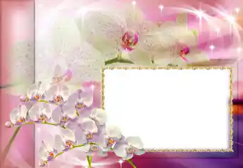 カテゴリのフォトエフェクト いろいろの祭り № 153160