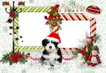 カテゴリのフォトエフェクト いろいろの祭り № 163336. フレーム上の碑文: Happy Holidays