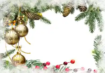 カテゴリのフォトエフェクト クリスマスカード № 129897