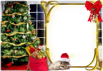 カテゴリのフォトエフェクト クリスマスカード № 162005
