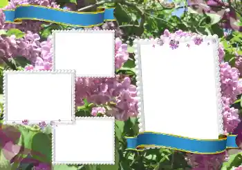 カテゴリのフォトエフェクト いろいろの学校の № 205334