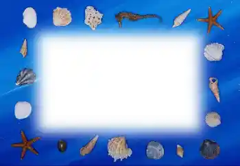カテゴリのフォトエフェクト 夏 № 113121 カテゴリのフォトエフェクト 夏 № 113121