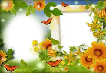カテゴリのフォトエフェクト 夏 № 116126
