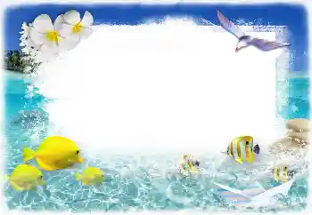 カテゴリのフォトエフェクト 夏 № 117731