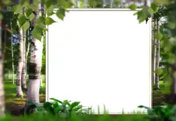 カテゴリのフォトエフェクト 夏 № 128567 カテゴリのフォトエフェクト 夏 № 128567