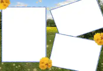 カテゴリのフォトエフェクト 夏 № 13915