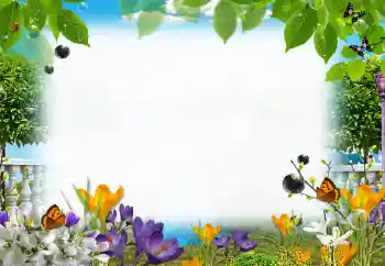 カテゴリのフォトエフェクト 夏 № 153205