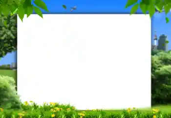 カテゴリのフォトエフェクト 夏 № 158421