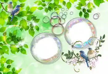 カテゴリのフォトエフェクト 夏 № 167832