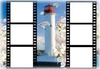 カテゴリのフォトエフェクト 夏 № 167969