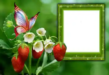 カテゴリのフォトエフェクト 夏 № 168002