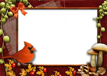 カテゴリのフォトエフェクト 秋 № 1013