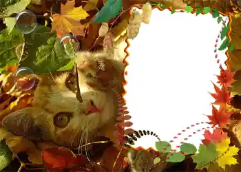 カテゴリのフォトエフェクト 秋 № 1020