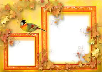 カテゴリのフォトエフェクト 秋 № 1124