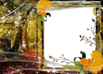 カテゴリのフォトエフェクト 秋 № 1127