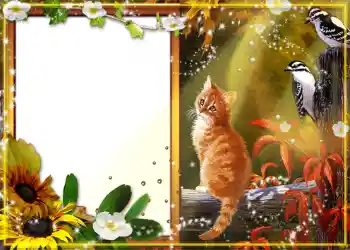 カテゴリのフォトエフェクト 秋 № 1130