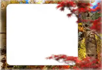 カテゴリのフォトエフェクト 秋 № 127331 カテゴリのフォトエフェクト 秋 № 127331