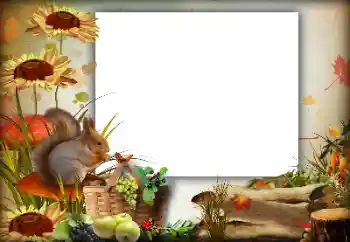 カテゴリのフォトエフェクト 秋 № 142363