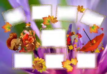 カテゴリのフォトエフェクト 秋 № 143637