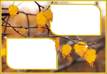 カテゴリのフォトエフェクト 秋 № 145075