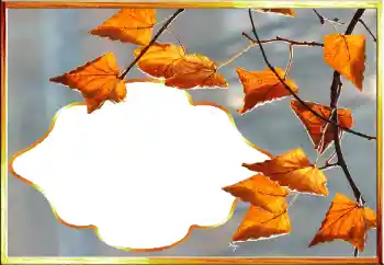 カテゴリのフォトエフェクト 秋 № 145079